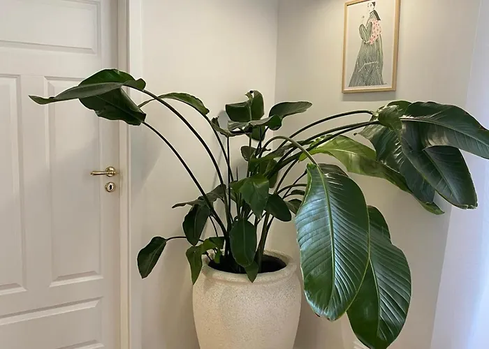 Psd - Wojska Polskiego 1 Апартаменты *